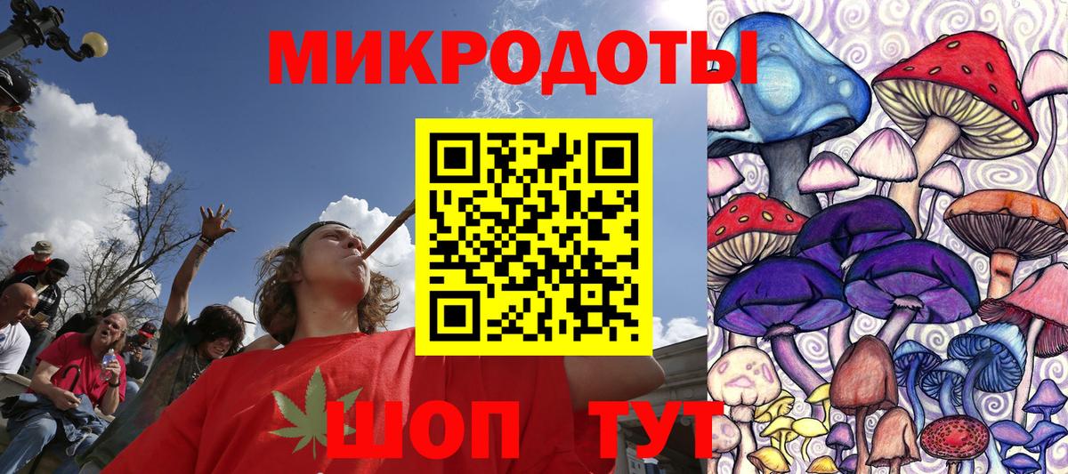 Псилоцибиновые грибы Psilocybine cubensis  Вход с VPN  Псилоцибиновые грибы мицелий  Клин 